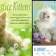 Illustration for article titled Heres the Absolute Best 2014 Cat Calendar